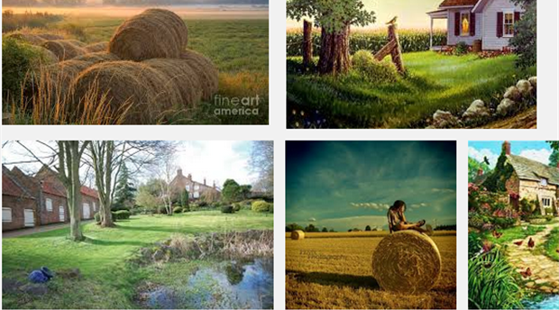 Characters in the World of Country Life Picture 1