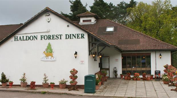 Haldon Forest Diner Picture 1