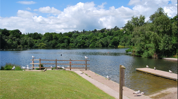 Decoy Country Park Picture 1