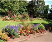Rougemont Gardens, Exeter Picture