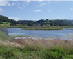 Axe Estuary Wetland Project Picture