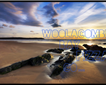 The Woolacombe Bay Pizza Co Picture