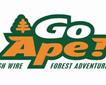 Go Ape Tree Top Adventure Picture