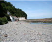 Clovelly Beach Picture