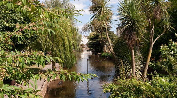 The Lawn, Dawlish Picture 2