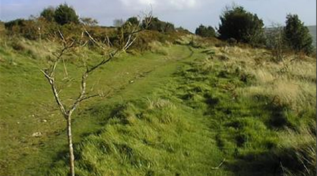 Fire Beacon Hill, Sidmouth Picture 1