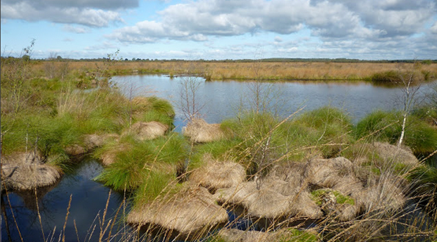 Exmouth Local Nature Reserve Picture 1