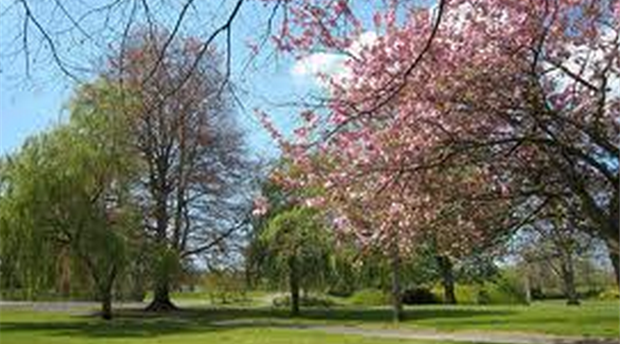 Rock Park, Barnstaple Picture 1