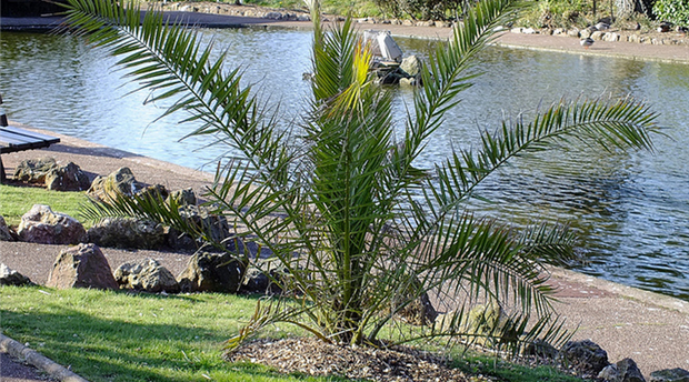King's Gardens. Torquay Picture 1