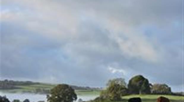 Higherwell Farm Holiday Park  Picture 1