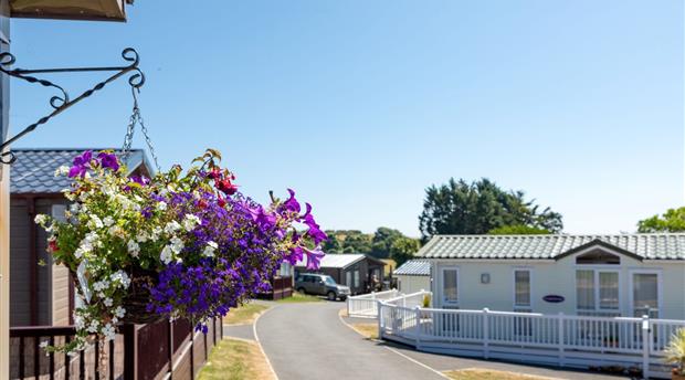 Landscove Holiday Park Picture 1