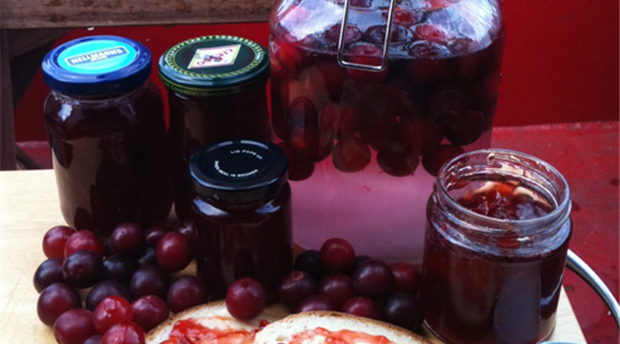 Soft-set Plum Jam Picture 1