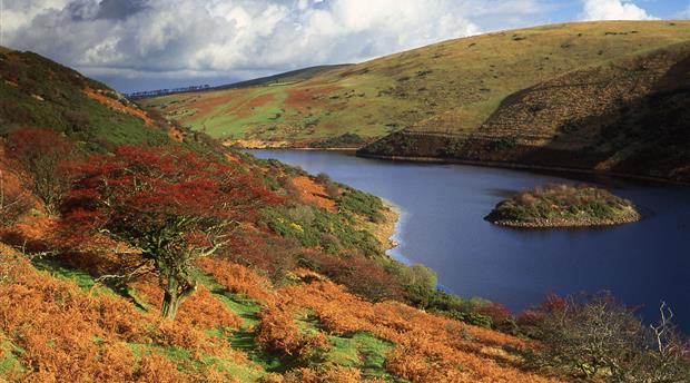 Dartmoor National Park Picture 2