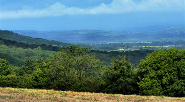 Blackdown Hills AONB Picture 2