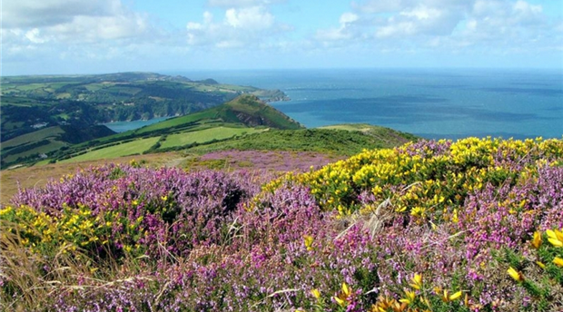 North Devon AONB Picture 4