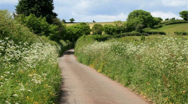 South Devon AONB Picture 3