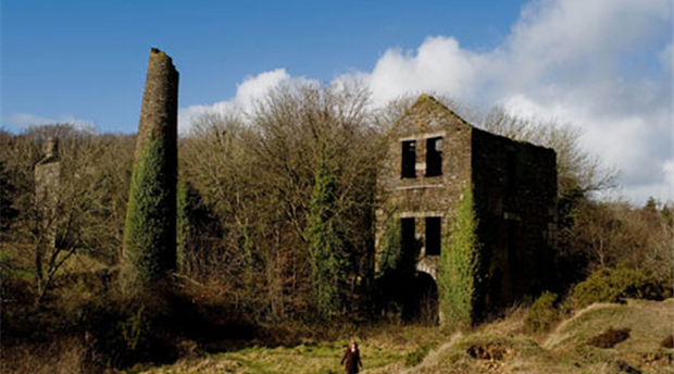 Tamar Valley AONB Picture 3