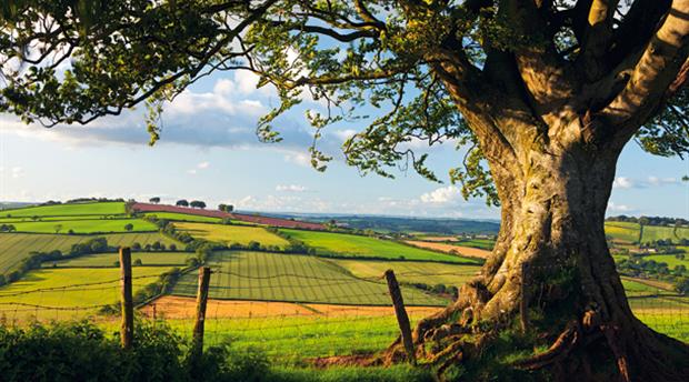 Exmoor National Park Picture 2