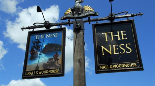 Ness (The) Picture 1