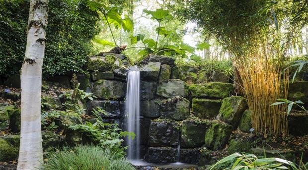 RHS Garden Rosemoor Picture 1