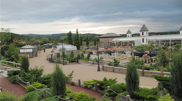 Trago - Newton Abbot Picture 2