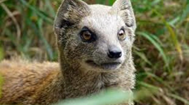 Porfell Wildlife Park Picture 3
