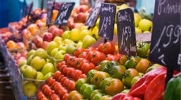 Ashburton Farmers Market Picture 1