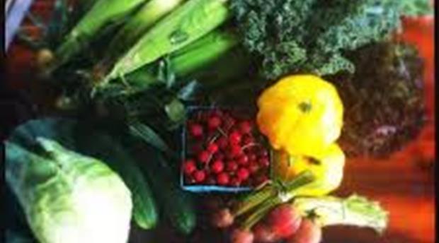 Tavistock Farmers Market Picture 1
