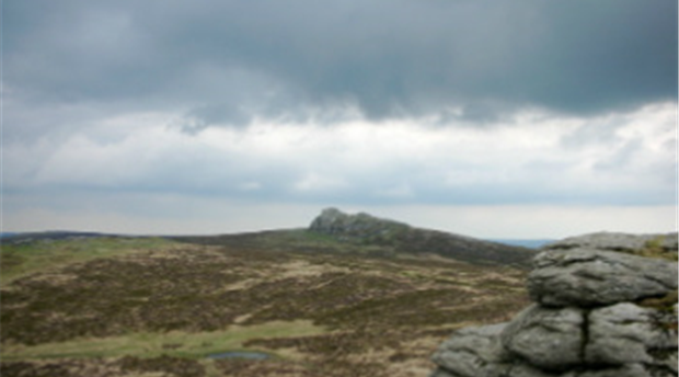 Dartmoor Butchers Picture 1