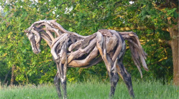 Heather Jansch Picture 1
