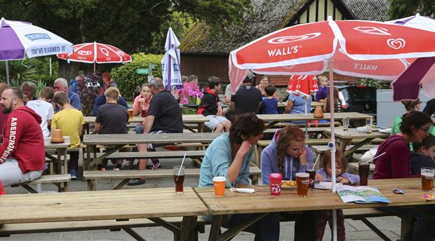 River Dart Award Winning Camping and Caravan Park Picture 4