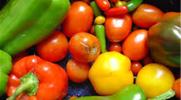 The Healthy Haven Picture 1