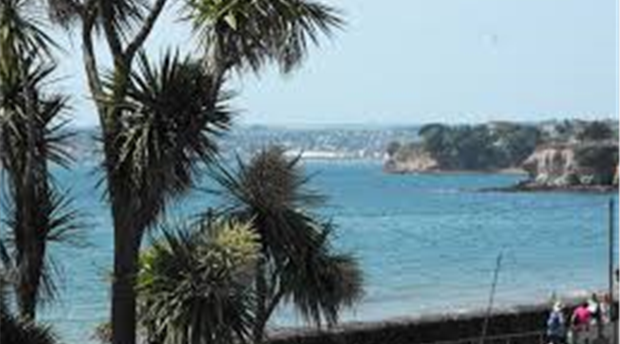 Did You Know ? Number of visitors to the English Riviera... Picture 1