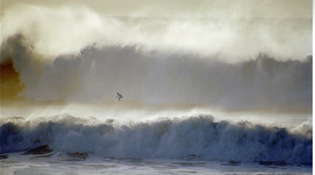 The Bay Surf Shop Picture 1