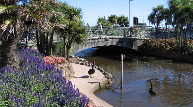Dawlish Picture 1