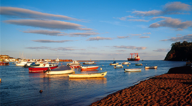 Shaldon Picture 3
