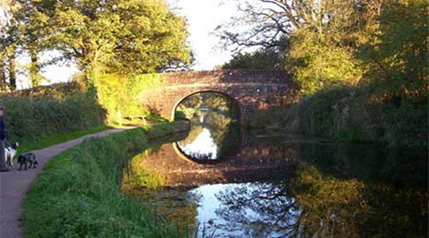 Tiverton Picture 2