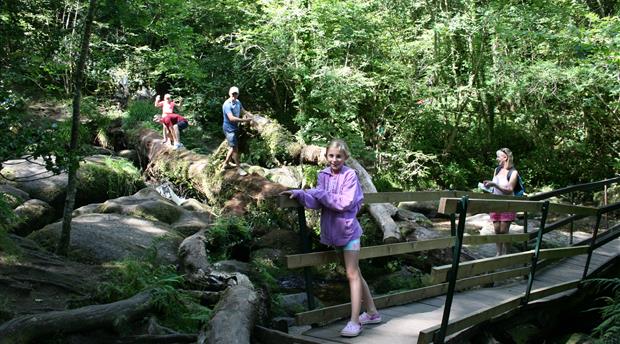 Becky Falls Picture 2