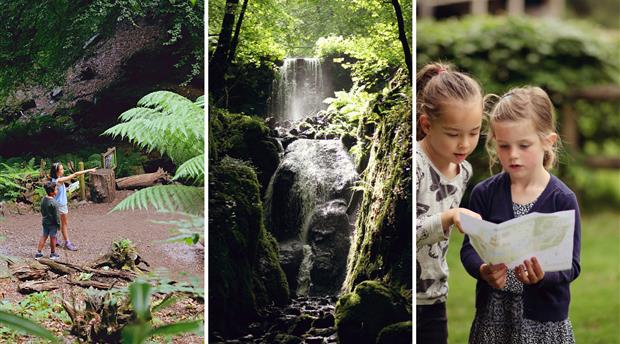 Canonteign Falls Picture 1
