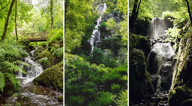 Canonteign Falls Picture 3