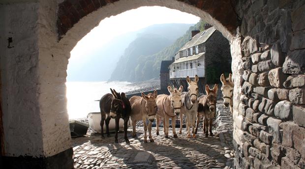 Clovelly Picture 2