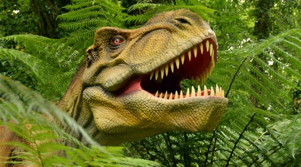 Combe Martin Wildlife and Dinosaur Park Picture 1