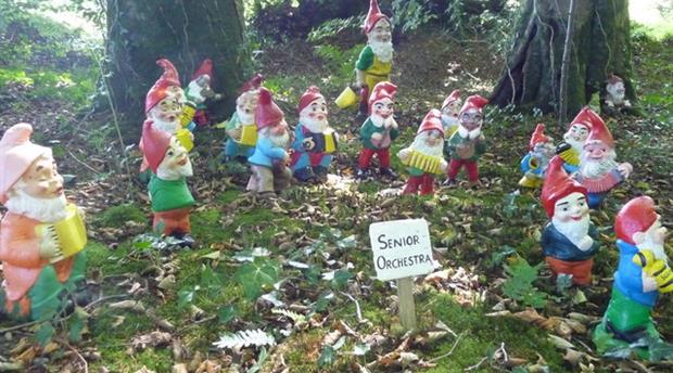 Gnome Reserve & Wild Flower Garden Picture 2