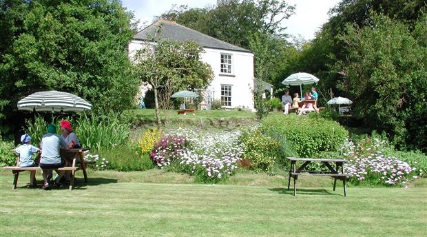 Gnome Reserve & Wild Flower Garden Picture 3