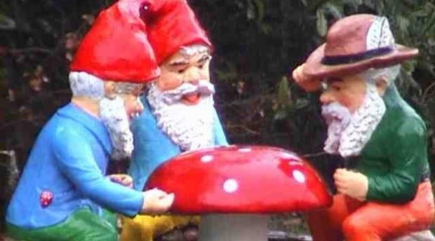 Gnome Reserve & Wild Flower Garden Picture 1