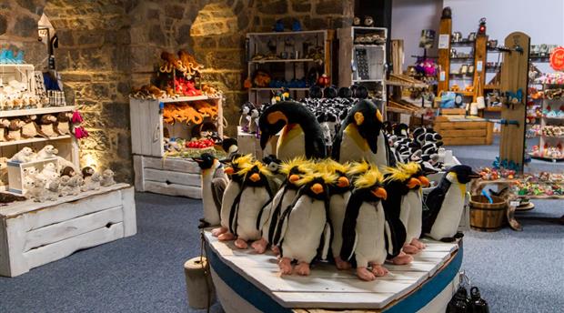 Living Coasts Zoo and Aquarium Picture 10