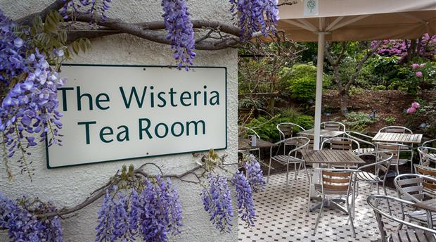 Garden Kitchen Restaurant - RHS Garden Rosemoor Picture 3