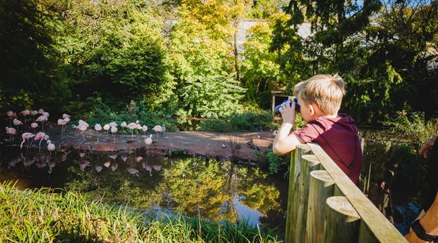 Paignton Zoo Environmental Park Picture 6