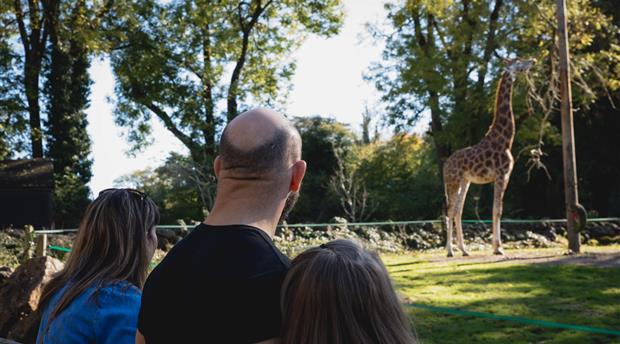 Paignton Zoo Environmental Park Picture 2