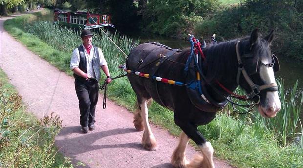 Tiverton Canal Company Picture 1